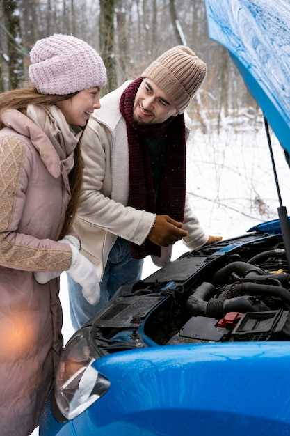 Preventing Gelled Fuel in Cold Climates