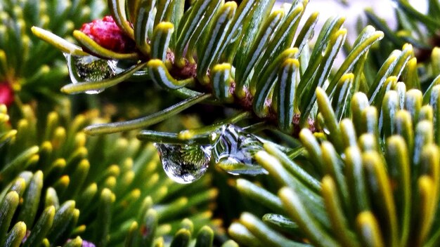 Top Fluids to Monitor When Seasons Change